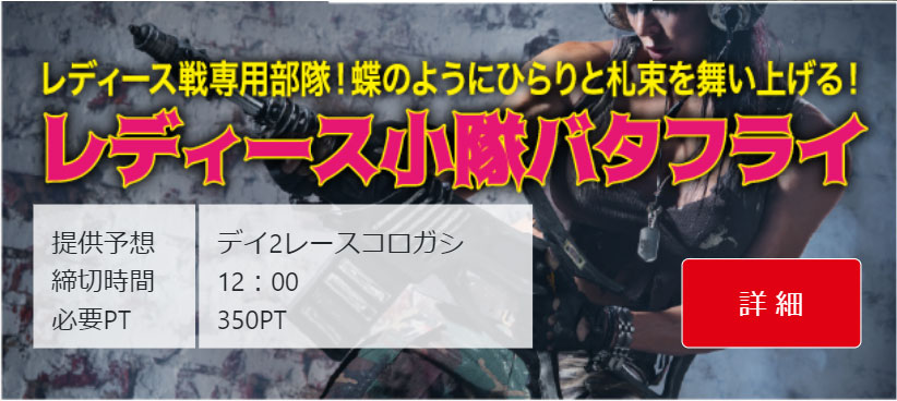 レディース小隊バタフライ